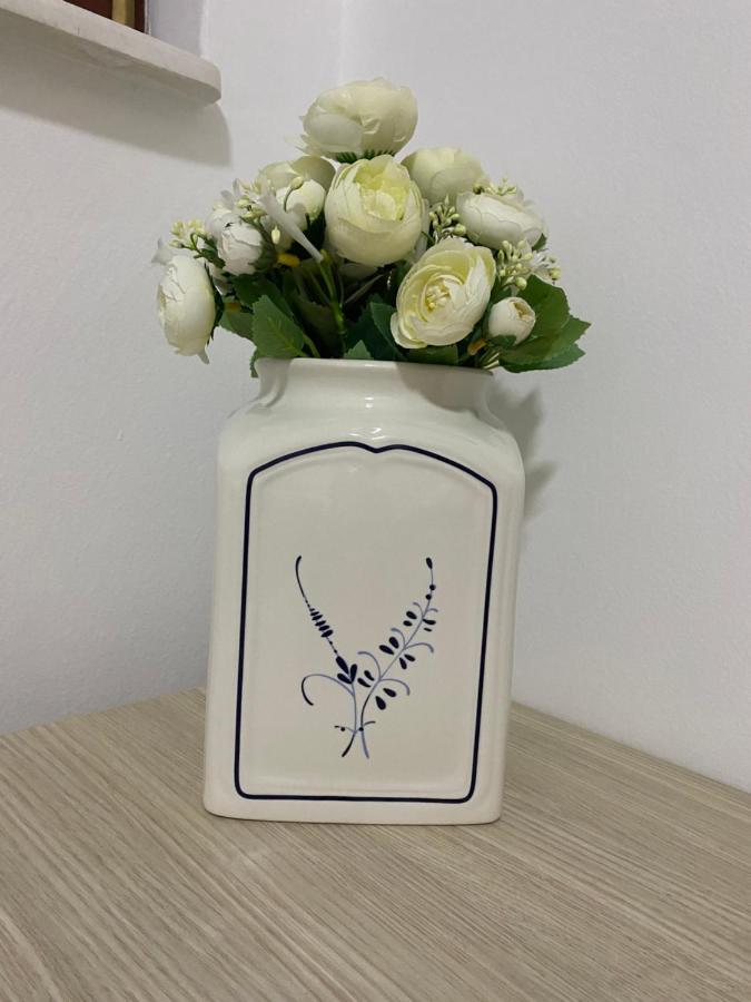 Dona Apartments سكوبجي المظهر الخارجي الصورة